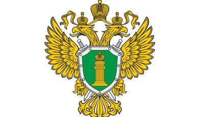 Прокуратура Московской области